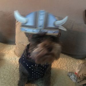 Meet your Posher, Laura